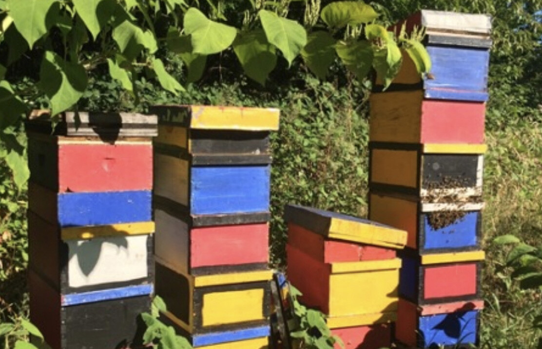 four columns of bee hives