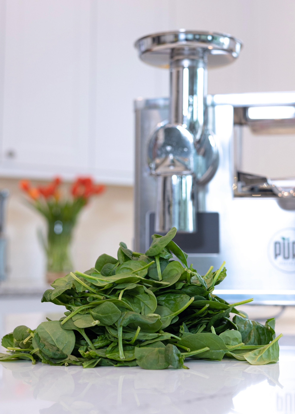 spinach; Pure Juicer magnesium rich foods